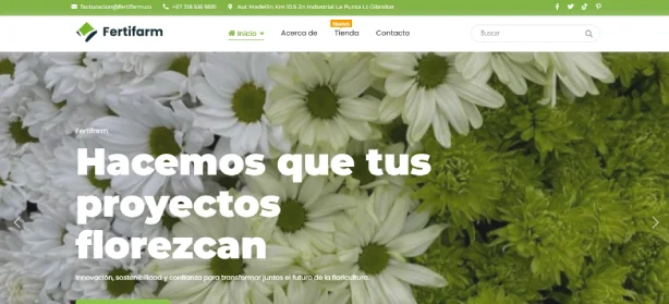Desarrollo Web